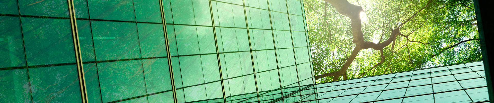 Aufsicht auf Hochhaus mit grünen Glasflächen und Bäumen