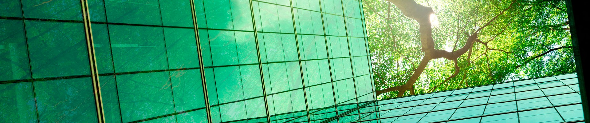 Aufsicht auf Hochhaus mit grünen Glasflächen und Bäumen