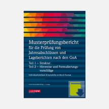 idw-verlag-musterpruefungsericht-jahresabschluss