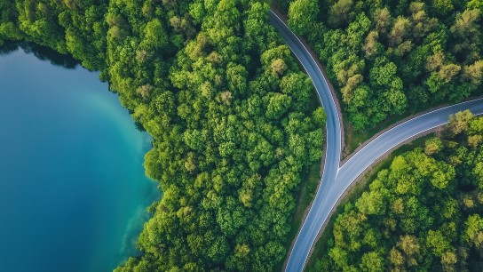 Straße Natur