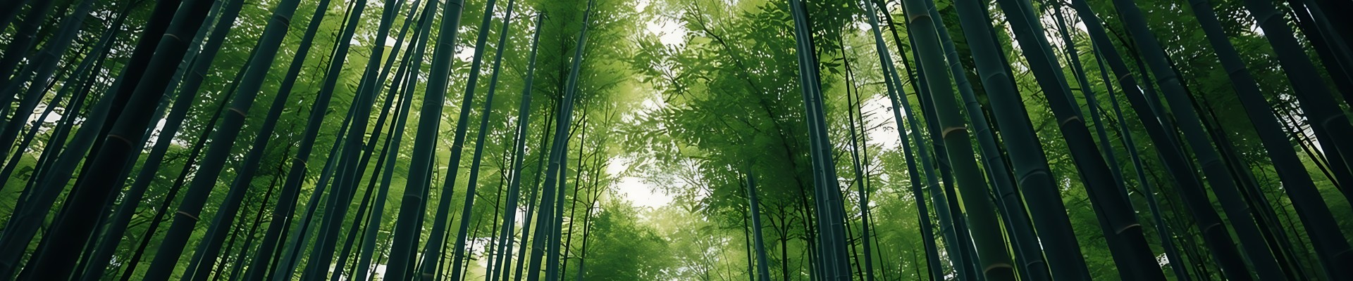 Wald