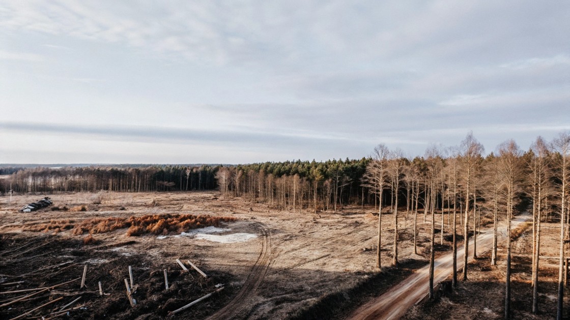 Naturausbeutung