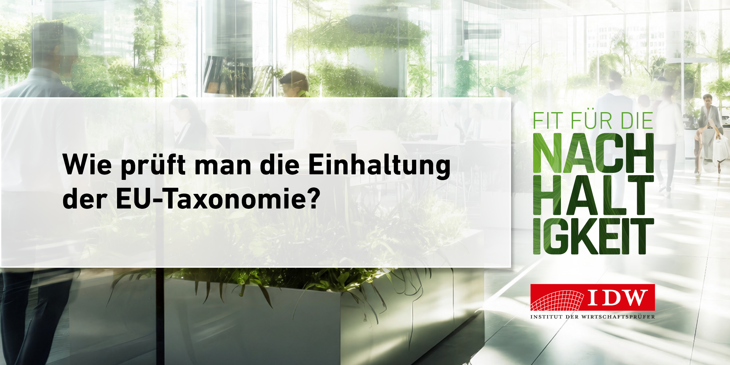 Video Vorschau