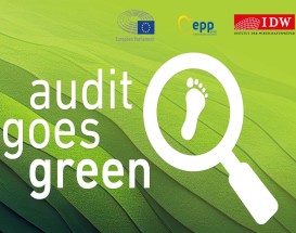 audit_goes_green_2025_2